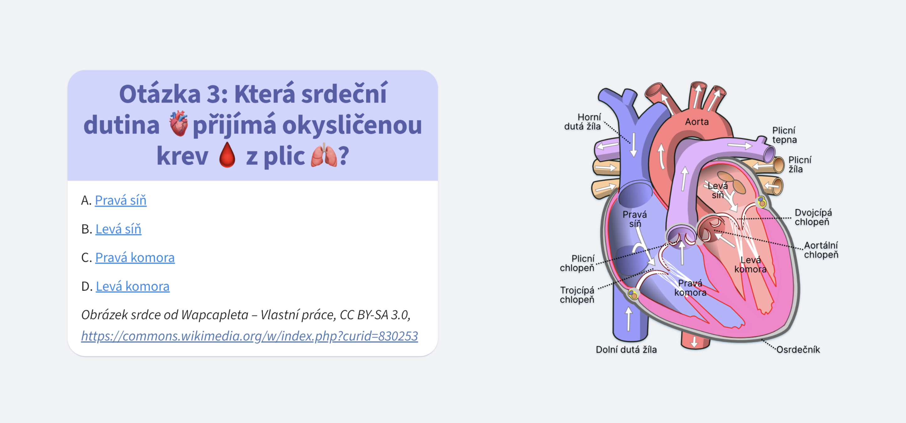 Otázka 3 v kvízu o lidském těle